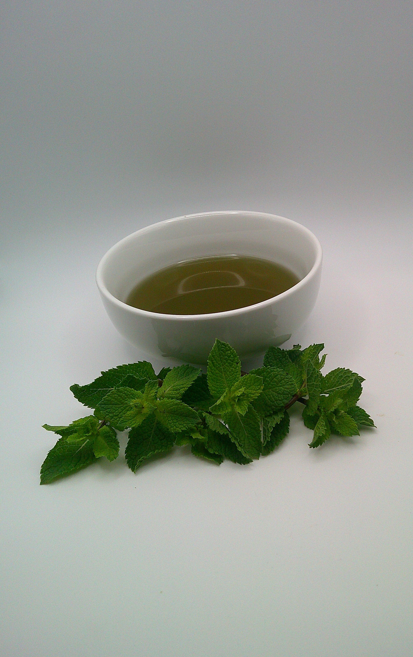 Mint - Infused Sunflower Seed Oil - 250ml