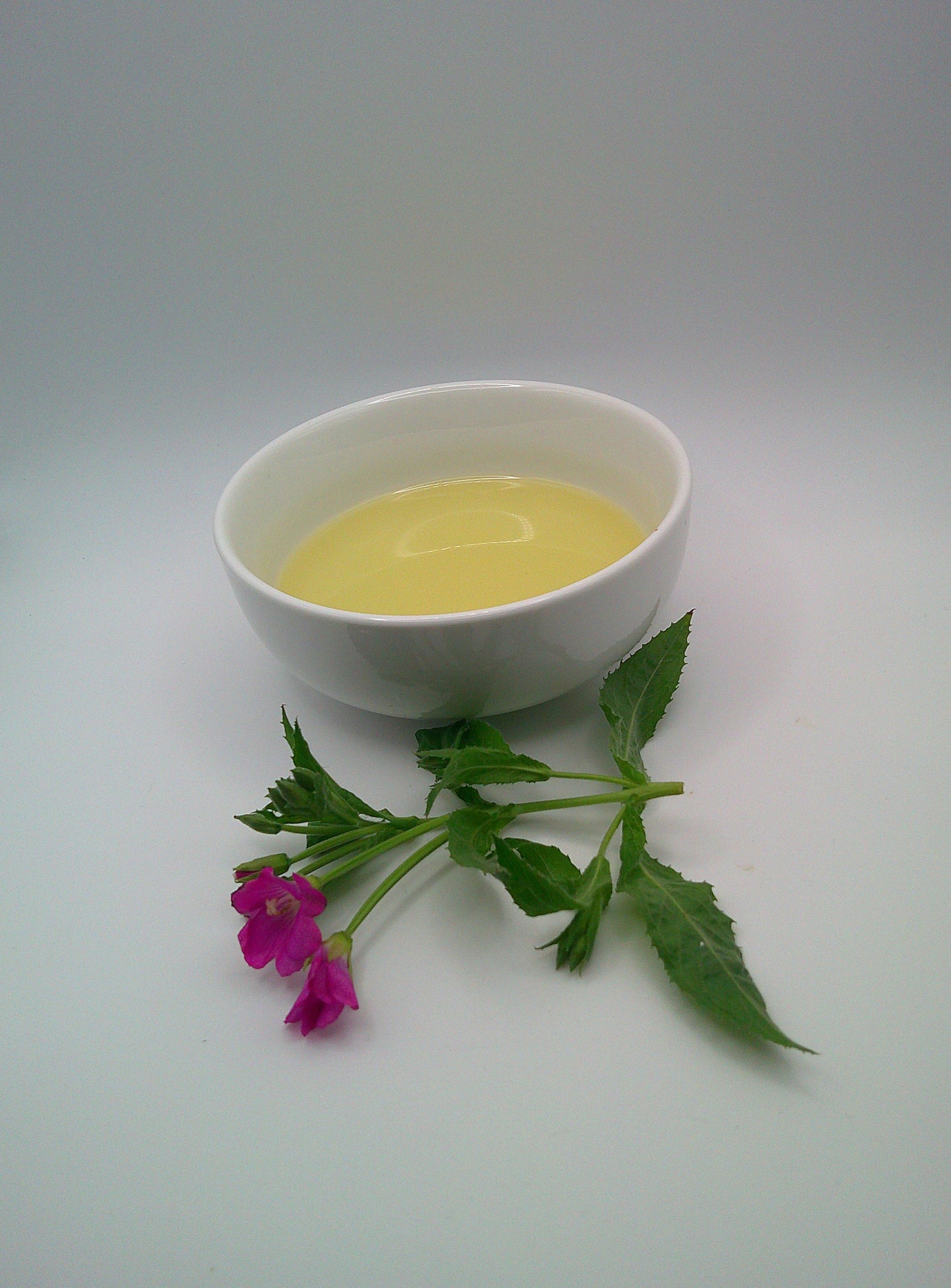 Willowherb - Infused Sunflower Seed Oil - 250ml