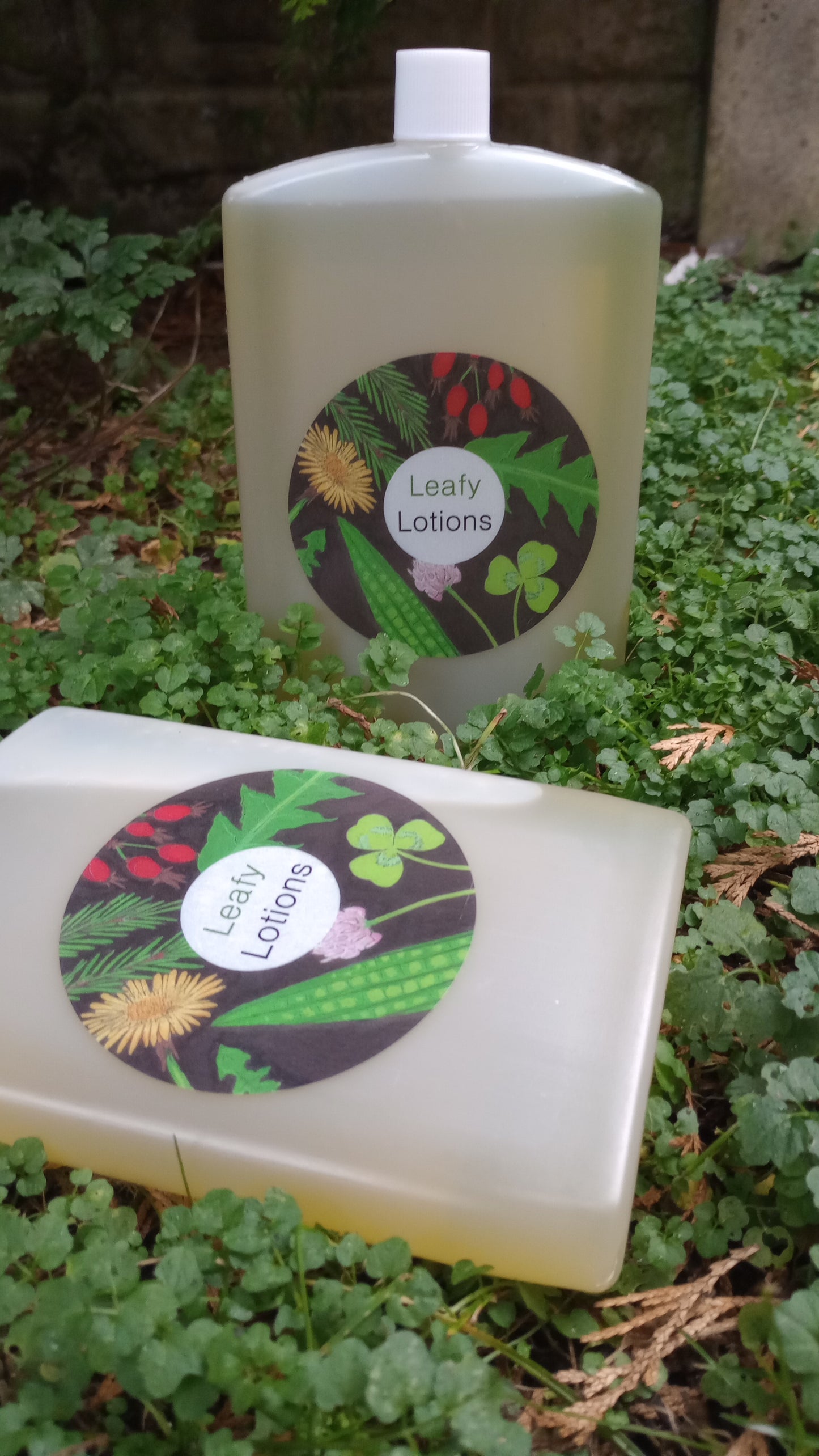 Nettle - Infused Sunflower Seed Oil - 250ml