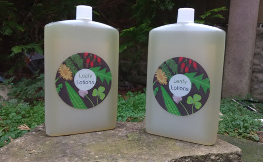 Ribwort Plantain - Infused Sunflower Seed Oil - 250ml