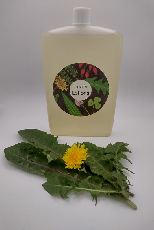 Dandelion - Infused Almond Seed Oil - 250ml